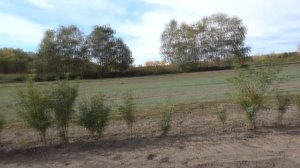 Шушенское  В гостях у Александра Рыкалина