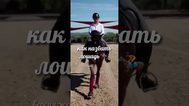 Как назвать лошадь.А вы как думаете#тренд#конныймир#рек#equestrian#конники#лошади#тикток#horse#трен смотреть онлайн