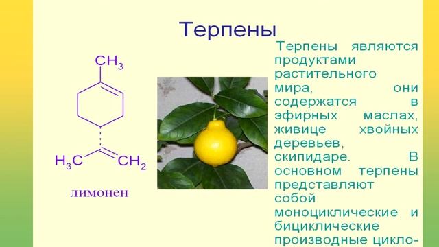 Живица: история, особенности, применение смотреть онлайн