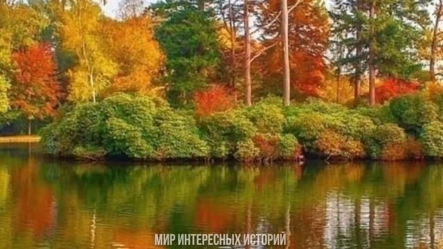 Когда пьяница муж ушёл к другой, Тамара быстро продала квартиру, что бы он случайно не вернулся.. смотреть онлайн