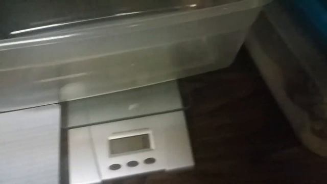 Ball Python Weights смотреть онлайн