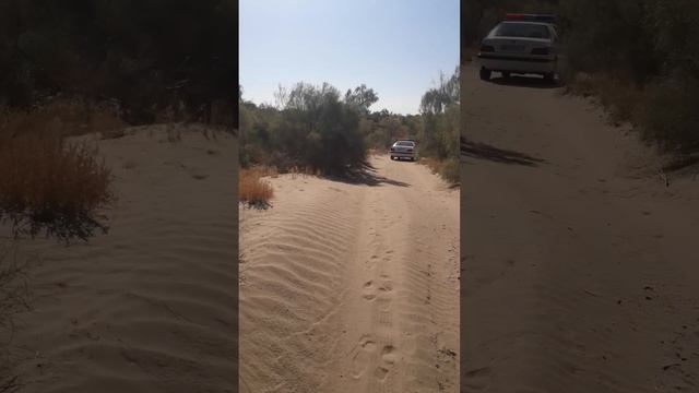 Turkmenistanyñ Parahor Haram Gaýylary...