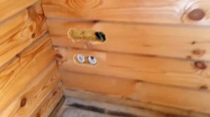 Скрытая электропроводка в деревянном доме из профилированного бруса