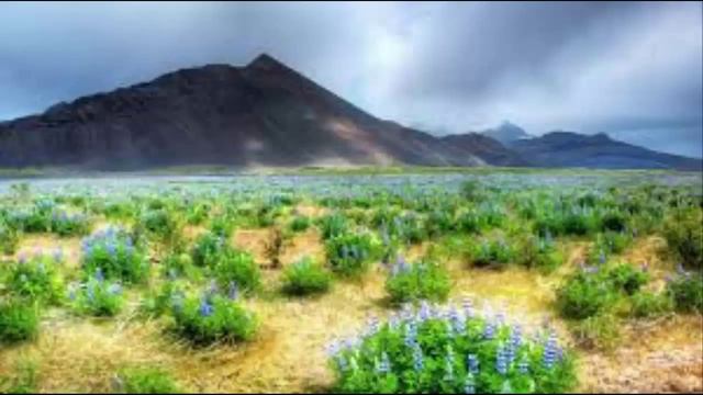 savannah смотреть онлайн