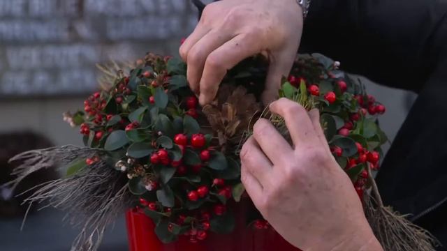 eng gaultheria big berry смотреть онлайн