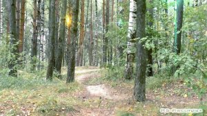 Кристина Соколова Туман-туман группа: «Русский Стилль» 2020