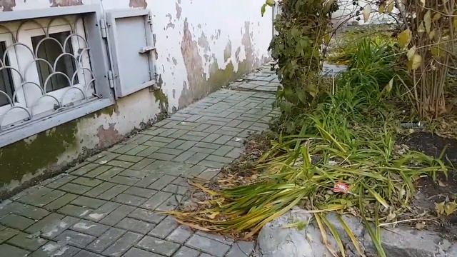 Недоступная среда офиса Межрегиональной общественной организации инвалидов Ковчег г Владивосток смотреть онлайн