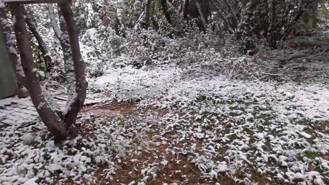 20211006 дача снег смотреть онлайн