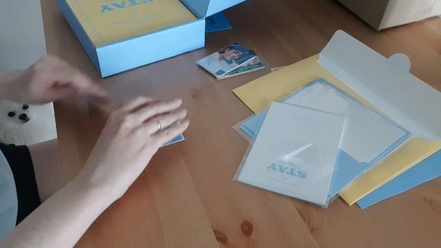 Распаковка Stray Kids official fanclub kit смотреть онлайн