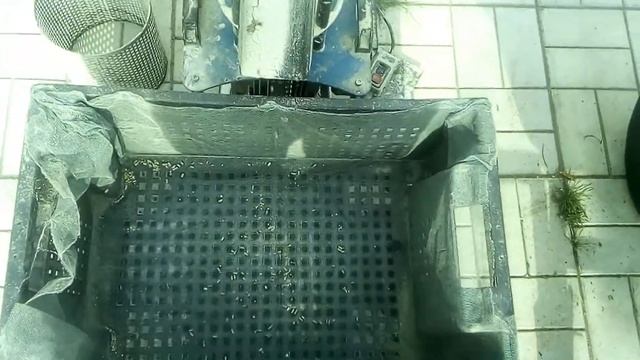 Комбикорм своими руками на грануляторе МГК 100 смотреть онлайн