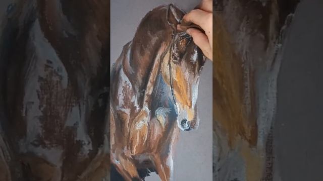 Рисуем лошадь чистокровной верховой породы смотреть онлайн