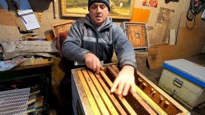 ВЫВОДИМ КАЧЕСТВЕННЫХ МАТОК, СТАРТЕР И ВОСПИТАЛКА В ОДНОЙ СЕМЬЕ! ПЛЕМЕННЫЕ РАБОТЫ С ПЧЕЛОЙ НА ПАСЕКЕ