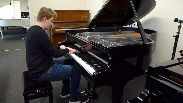 Feurich 178 - Franz Schubert: Piano Sonate in A Moll D537 (Op.164) смотреть онлайн