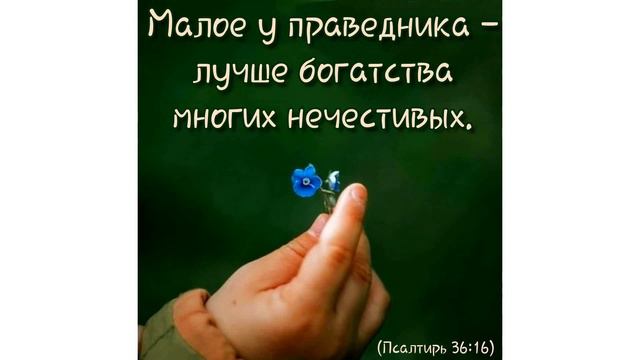 Евангелие от Иоанна 7.1-14ст. (разбор Слова) смотреть онлайн