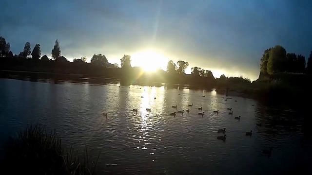 Морская драгоценность