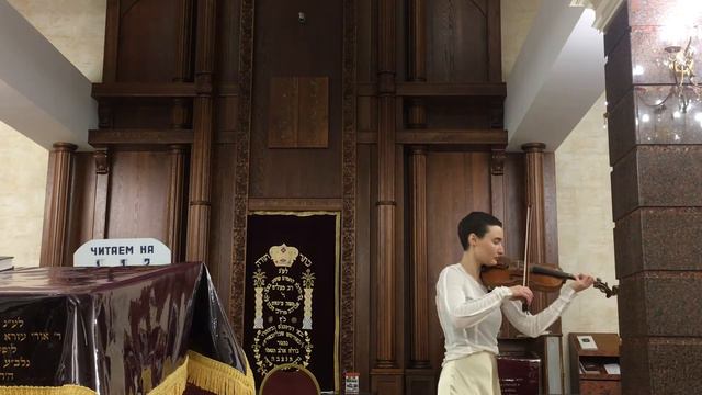 BWV 1003 | Bach  Sonata No. 2 In A Minor For Violin Solo, Grave | Klara Adamovych