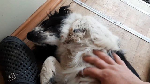 А вот и Динуся смотреть онлайн
