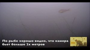 Рыбалка с подводными камерами. Фокус Фиш и Язь 52 Актив