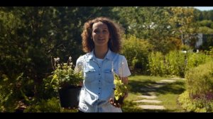 Теневой сад - это просто!??? [Растения для тенистого сада] Как оформить теневую зону участка?