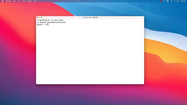 Install Python with NumPy SciPy Matplotlib on macOS Big Sur Apple Silicon M1 смотреть онлайн