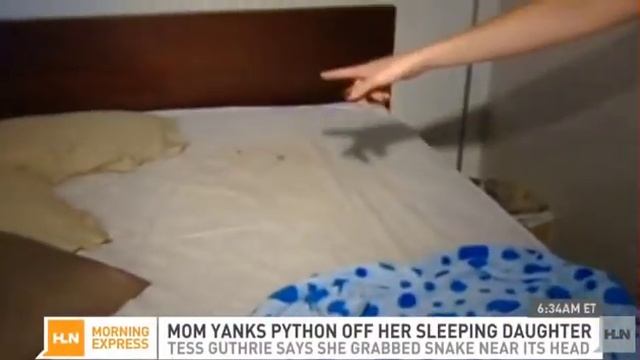 News Today 2013 Mom yanks python off sleeping toddler girl biting three times - more this week смотреть онлайн