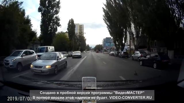 В Саратове автомобилисты остановились, чтобы пропустить утку с птенцами