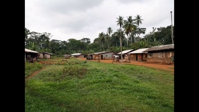 Камерун! / Cameroon!