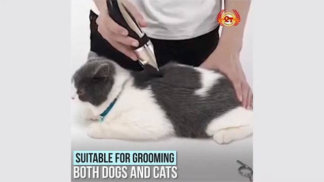 Pet Grooming Clipper Kits - How to use clippers when grooming a shaggy-haired Dog : Dog Grooming смотреть онлайн