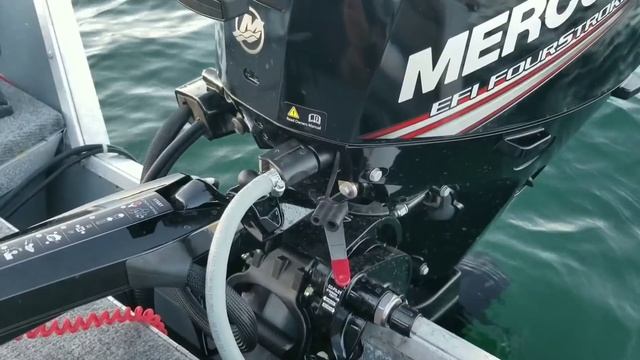 Mercury 20hp EFI 4-stroke, 2019 | FALLON MARINE