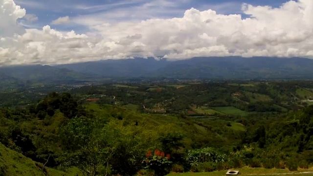 Как не уйти в сторону от своего предназначения. Главный секрет взаимодействия с информацией смотреть онлайн