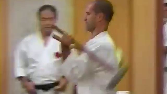 Дан тест Окинава Годзюрю смотреть онлайн