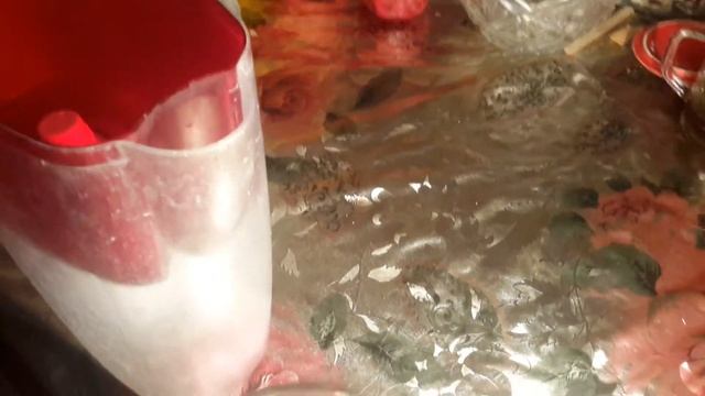 Дождевая вода,как ее пить? смотреть онлайн