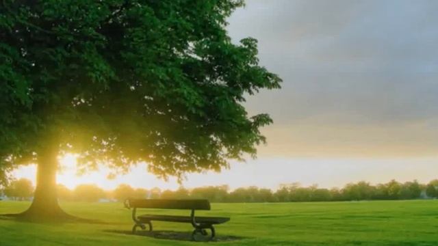 Вот и пенсия пришла!!! смотреть онлайн