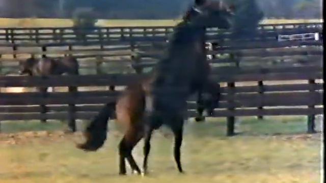 STS-1 Part 2 - Space Shuttle Columbia 1981 02 20 7AM EST NBC & CBS STS FRF 1 смотреть онлайн