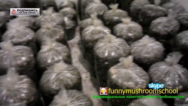 ВЕШЕНКА инкубатор для блоков, особенности летом смотреть онлайн