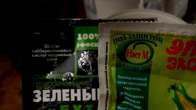 Яровой чеснок. Подготовка к посадке. смотреть онлайн