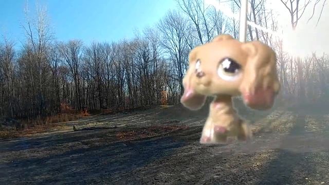 LPS Short - Walk in the woods смотреть онлайн