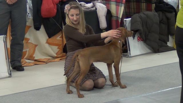 выставка 09 02 2013 025 смотреть онлайн