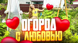 Секреты богатого урожая ❤️ Как сделать парник для томатов и огурцов своими руками? 🔥