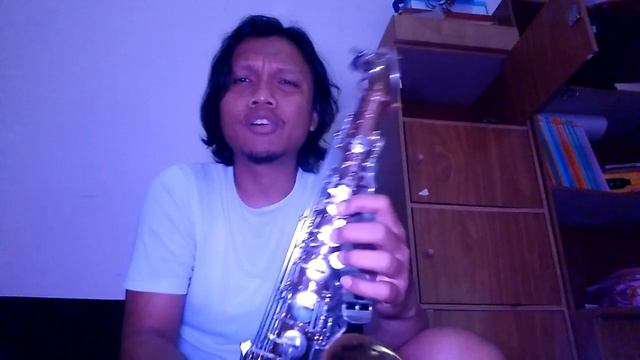 Sample sound of selmer bundy II alto saxophone with dukoff metal mouthpiece смотреть онлайн