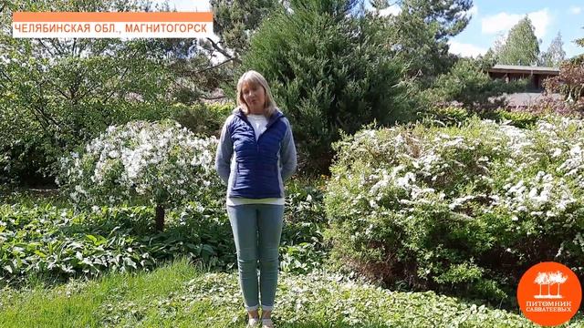 Как дела, регион? Ландшафтный дизайнер Мария Ефремова, г. Магнитогорск смотреть онлайн