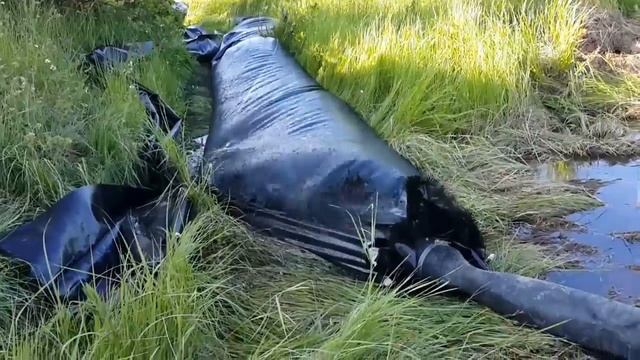 Экскаватор-болотоход «SWAMPKING» смотреть онлайн