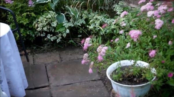 Дизайн патио. Создаем миксбордер вокруг патио. Mixborders. Patio.