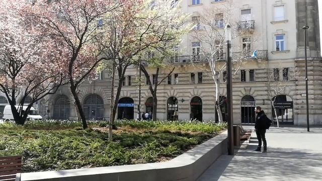 Экскурсия по Будапешту: Парламент и окресности смотреть онлайн