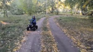 Квадроцикл детский Полярис Электрический