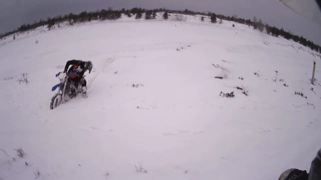 Зимний продубас