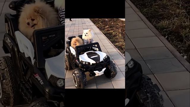 Едем едем в соседнее село на дискотеку😂😍🙋♀️🤪🚙 смотреть онлайн