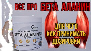 Всё про БЕТА АЛАНИН. Как принимать и для чего. Нормы и дозировки. Купить Beta Alanine. Цена Отзывы