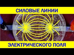 Силовые линии электрического поля