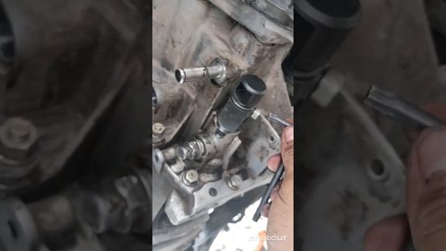cómo cambiar aceite de la transmisión y el retén de la flecha selectora de velocidades Ecosport 200 смотреть онлайн